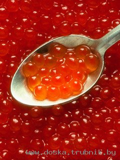 красная икра и морепродукты