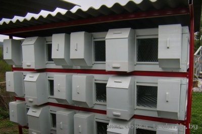 миниферма, раббитакс-4, раббитакс-У