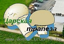 Грибоводство, грибы, мицелий, школа грибоводства